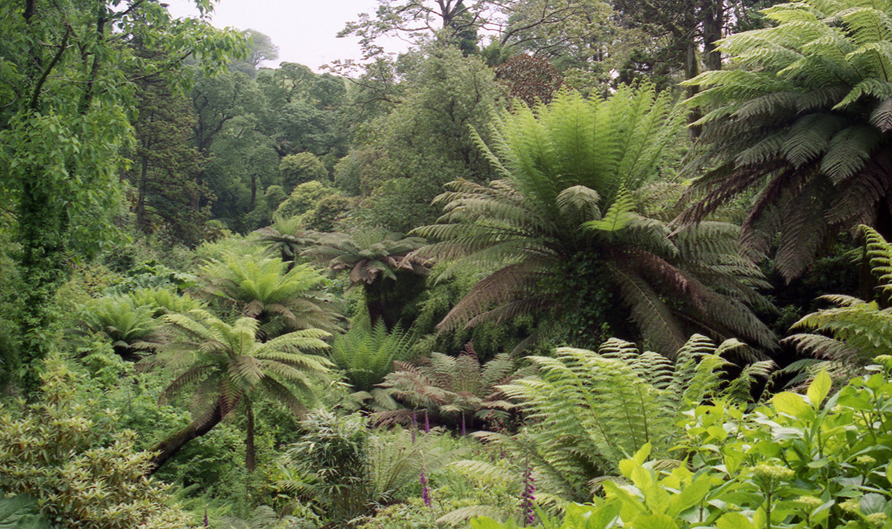 Lost Gardens of Heligan